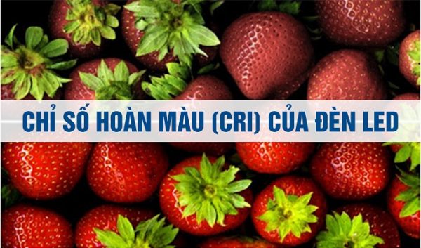 đèn led, đèn led nội thất, đèn led cao cấp, chiếu sáng nội thất, đèn led âm trần