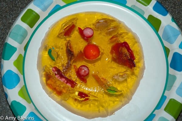 Apologia Image of Edible Cell for Human Anatomy and Physiology