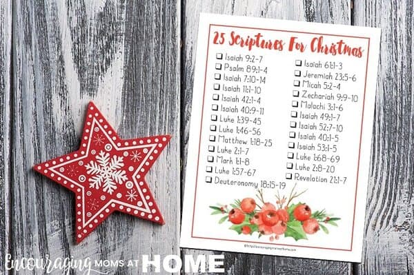 Do you need something to help your family focus on Christ, His birth, and His purpose during the holiday season? Try this daily Bible Verse Checklist that can be read throughout December. With 25 verses in all, it can be used to celebrate Advent or as a great tool to keep your focus on the true meaning of Christmas.