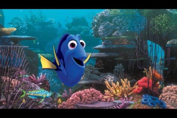 findingdory568c691272fd3