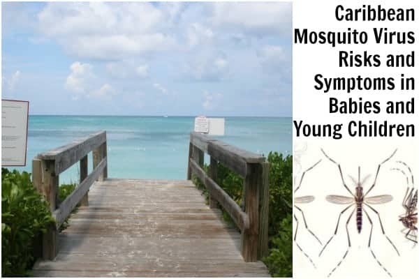 caribbean mosquito virus, zika in babies, malaria in babies, chikungunya in babies, dengue in babies, caribbean mosquito virus risks