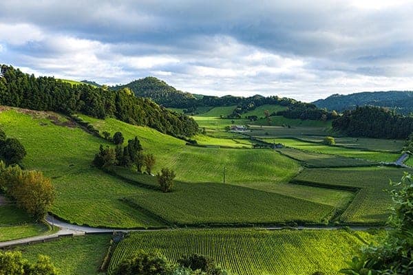 A landscape view of the English countryside