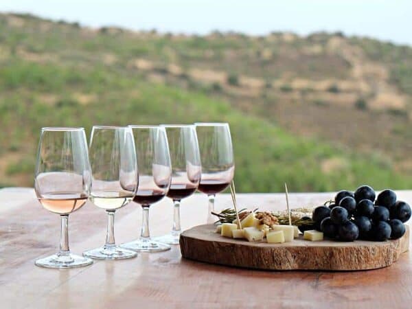 wine tasting tour ericeira