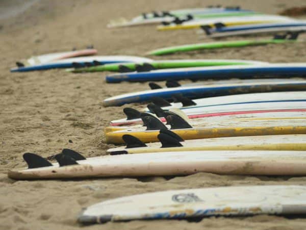 Many surf boards lined up on the sand.