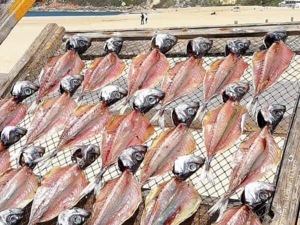 Fish drying on Praia de Nazare