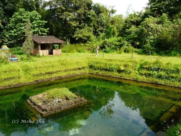 bubbling lake goa @lemonicks.com