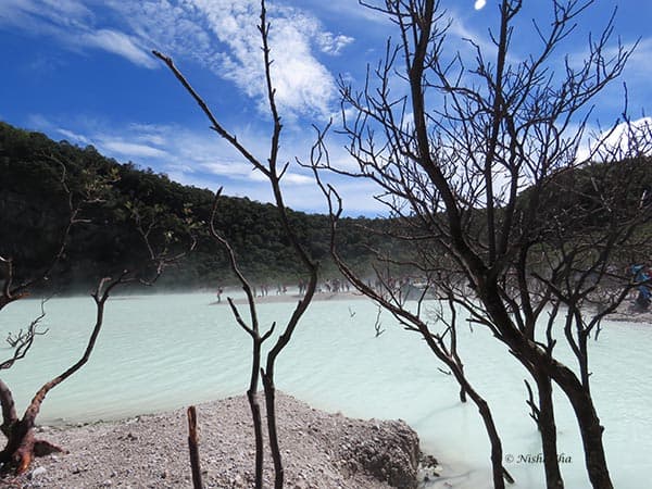 IMG_0660.2 Kawah Putih white crater indonesia