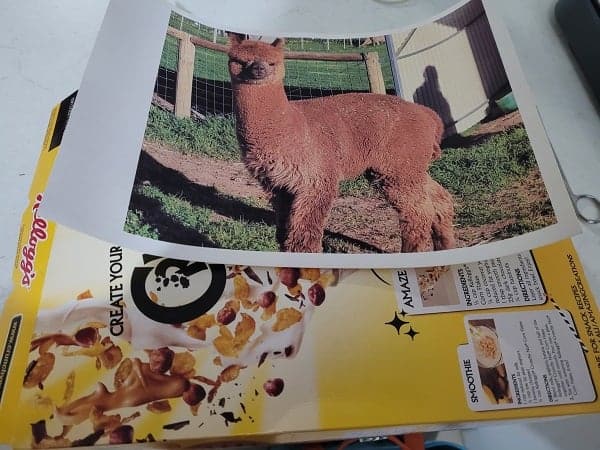 Cereal box used as cardboard backing for the Alpaca Jigsaw puzzle cut with the Scan N Cut