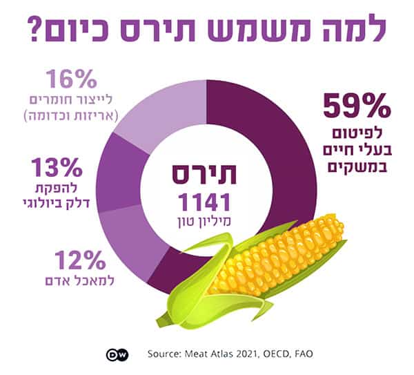 התפלגות השימושים הגלובליים של תירס גרף עוגה: למה משמש 1141 מיליון טון תירס בשנה