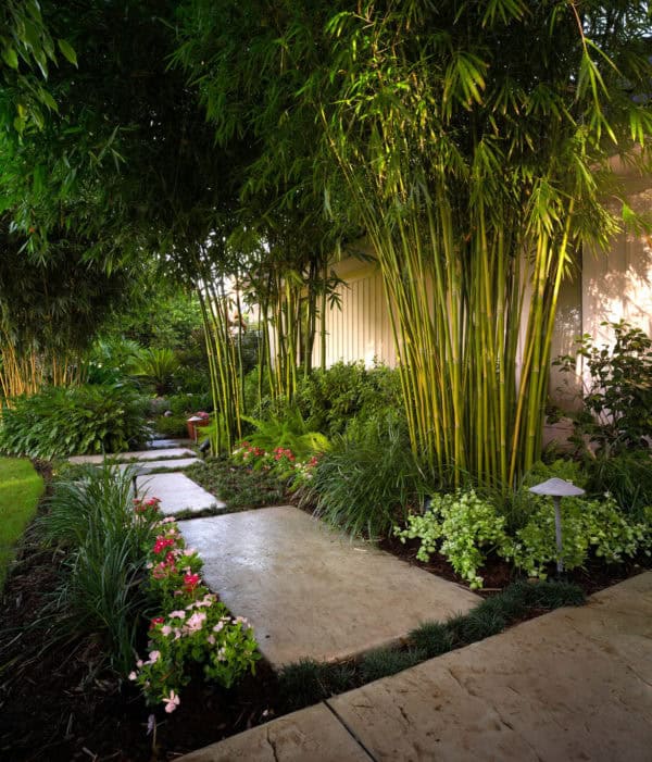 hidden concrete front steps leading into a tranquil home design amid luscious home gardens