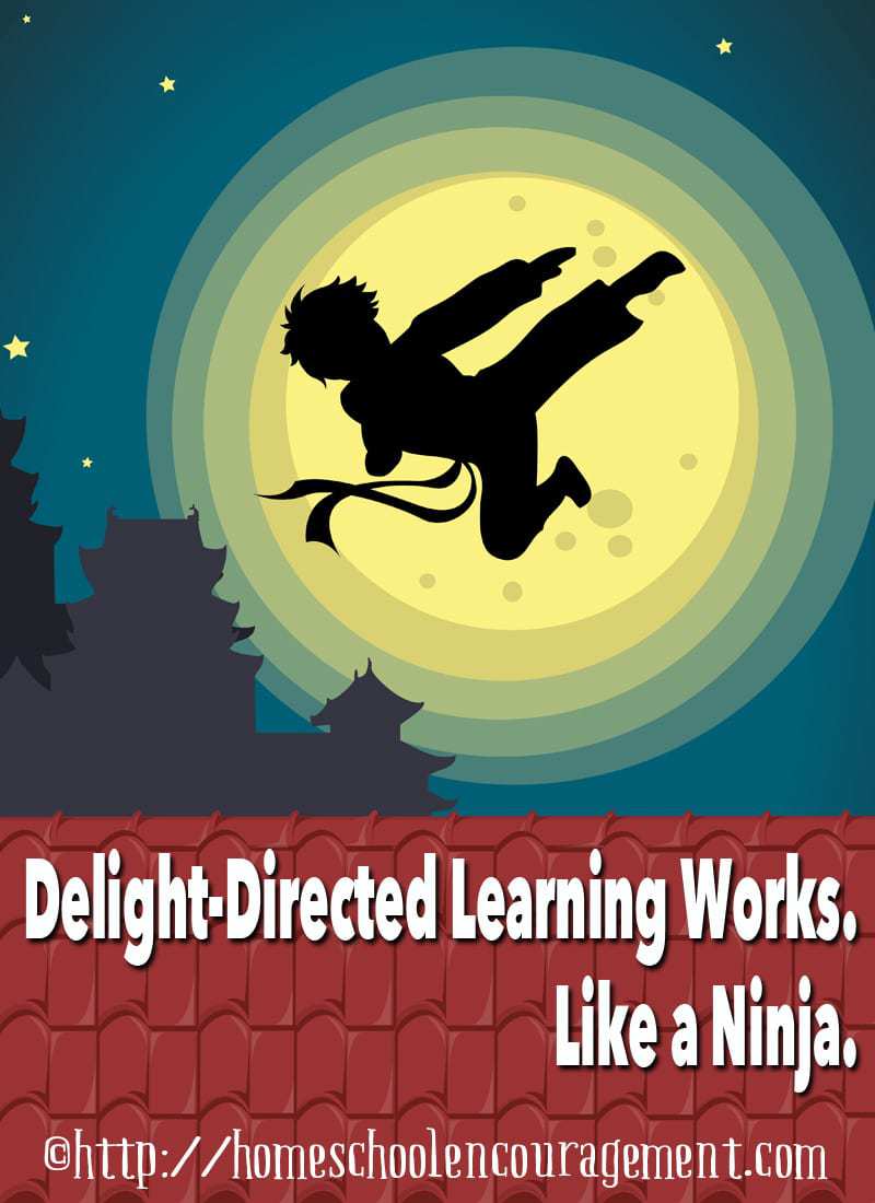 This is how delight directed learning worked for my son and how you can homeschool more happily.