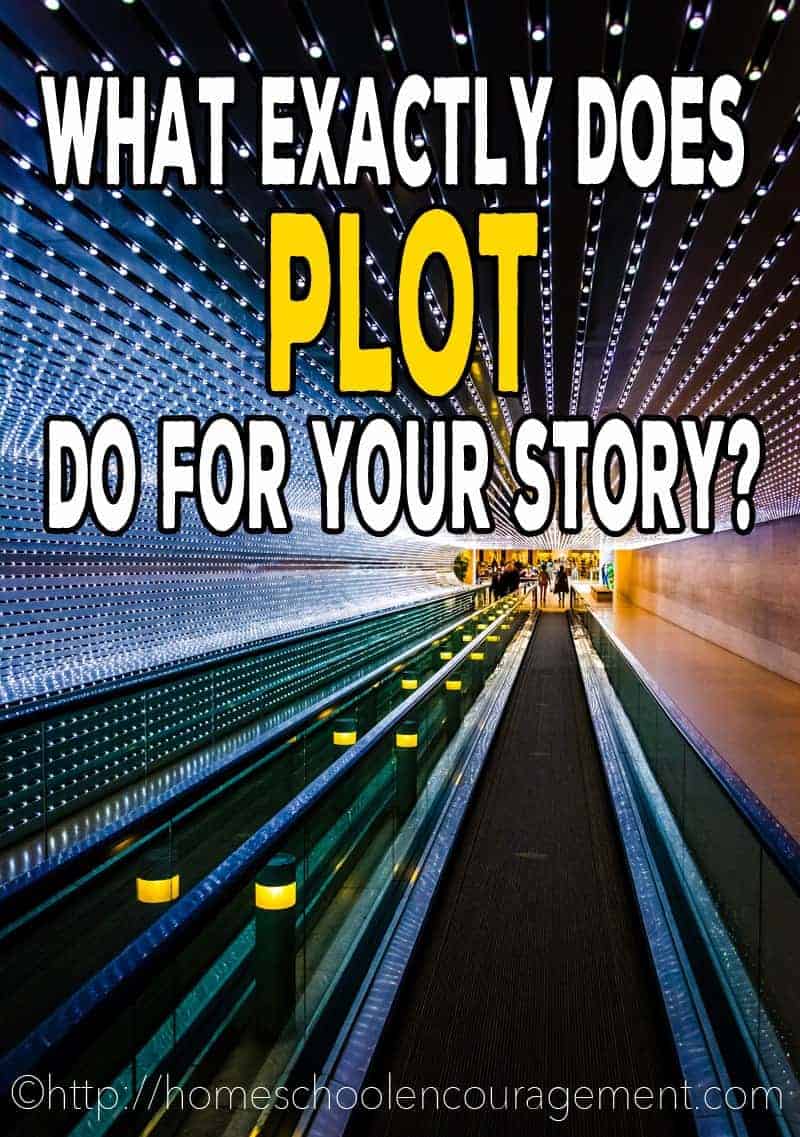 Plot: Learn what it can do for your story and find the rest of the series on writing by homeschool teen writer Hailey. 