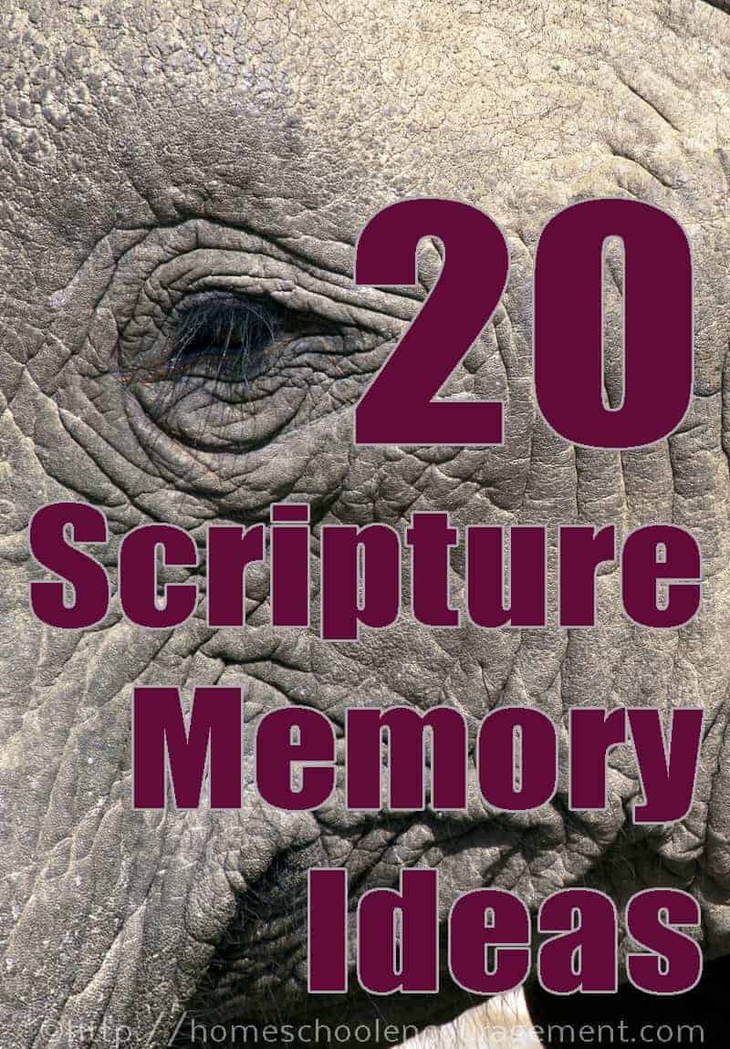 Scripture memory is important! Here are 20 resources to help you help your kids memorize Scripture.