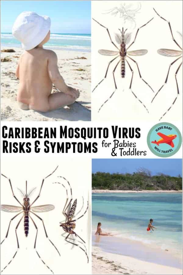 Caribbean Mosquito Virus Risks and Symptoms when traveling with a baby or toddler