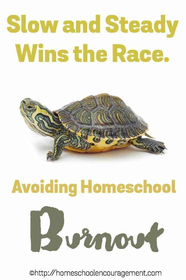 Feeling the stress of homeschool burnout? Take a look at seven ways to avoid burnout and succeed in your homeschool.