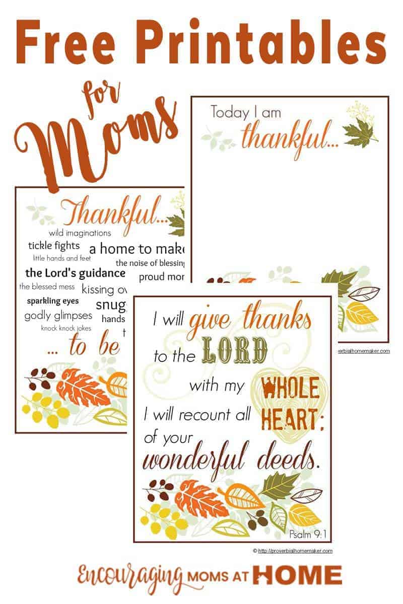 Do you record what you are thankful for? Here is a beautiful (FREE) printable set to help you focus this Thanksgiving season on the things that you are thankful for as a mom.