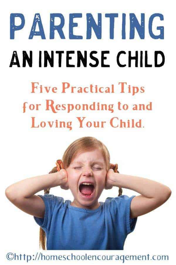 Do you have an intense child? The way their intensity looks different for every child. How we respond to their behavior is our choice. This post has five tips to help with the challenges you might face. 