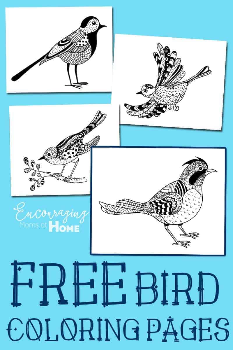 Are you studying birds in your homeschool this year?  Or maybe you just enjoy watching the birds that frequent your yard.  Either way, you are sure to enjoy these FREE printable coloring pages.  They are done in the style of populare adult coloring pages but are fun for adults and kids alike. 