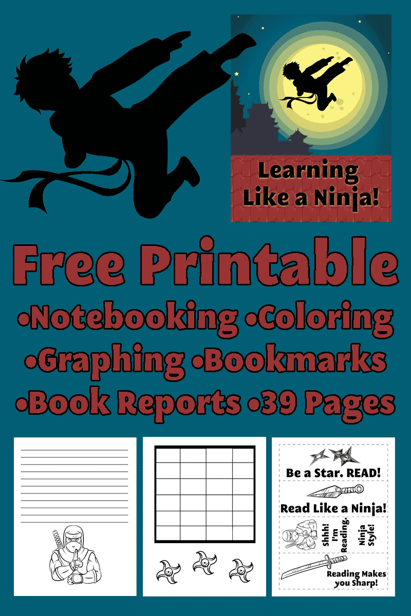 Delight directed learning is all about latching on to your child's current passion and centering their lessons around that topic.  Click over for a FREE printable set geared toward learning like a ninja. 