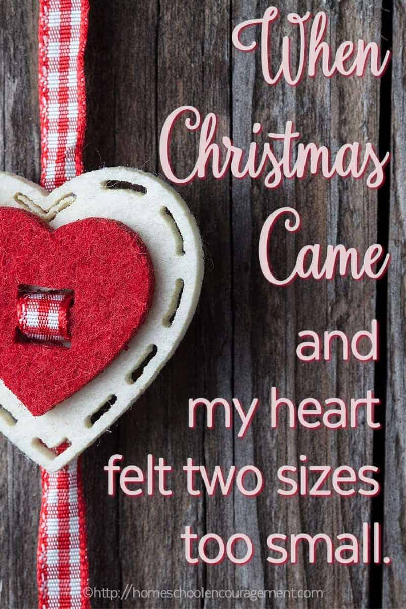 Is your perfect Christmas gift something that cannot be found under the tree? Does that something cause you to loose the joy of the holidays and make your heart feel small? Take a look at one mom's realization that when our hearts are hurting, our REAL gift has already been given. And we can find it in the manger!