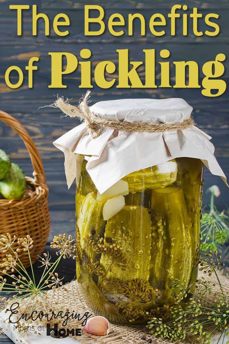 The many benefits of pickling your food.