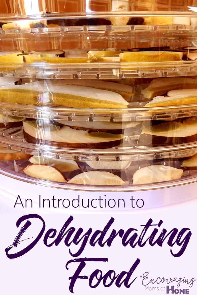 Dehydrating food has many benefits and is a popular way to perserve food.  Here are tips on a few benefits and how to dehydrate food. 