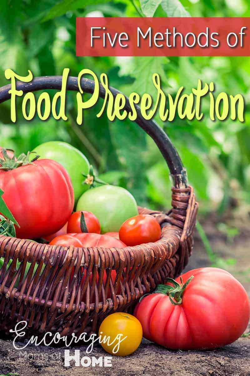 Did you know that some foods, like fresh fruit, are really easy to preserve.  Here are five methods of food preservation that will allow you to have fruits and veggies year round.  The plus is that it helps save on your grocery bill.