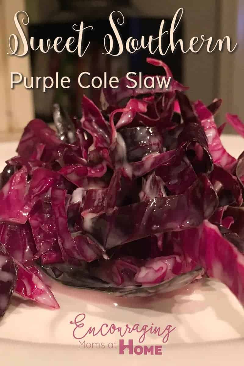 Sweet Southern Pretty Purple Cole Slaw