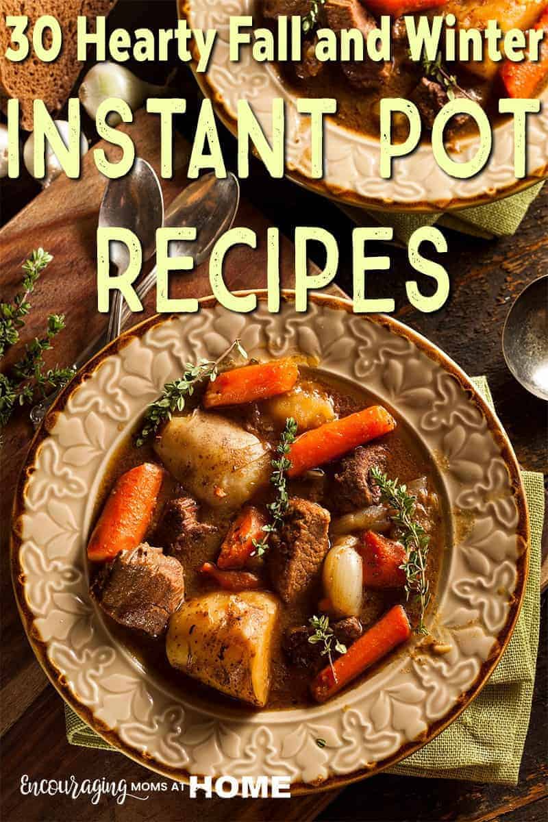 Do you have an Instant Pot? Why not put it to work for you as a busy mom? Take a look at our extensive list of recipes for beef, chicken, pork, and more that will help to simplify life this fall and winter.