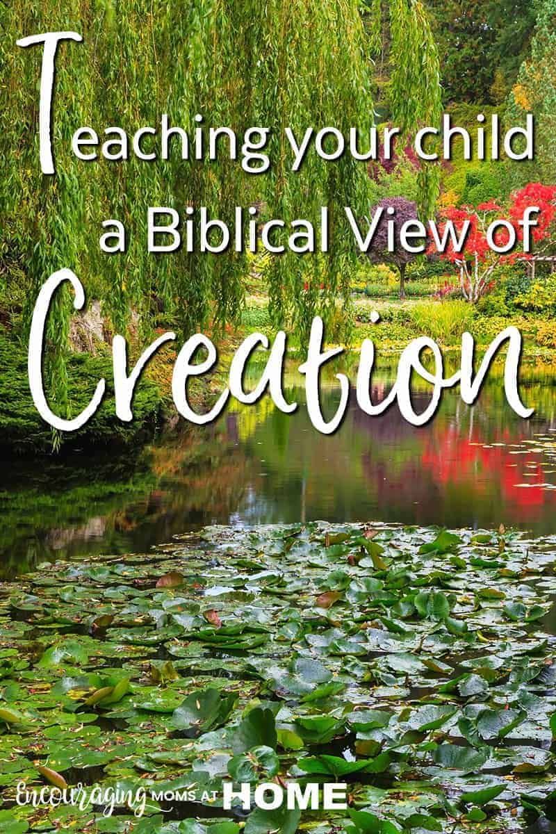 How to teach your child a biblical creation view