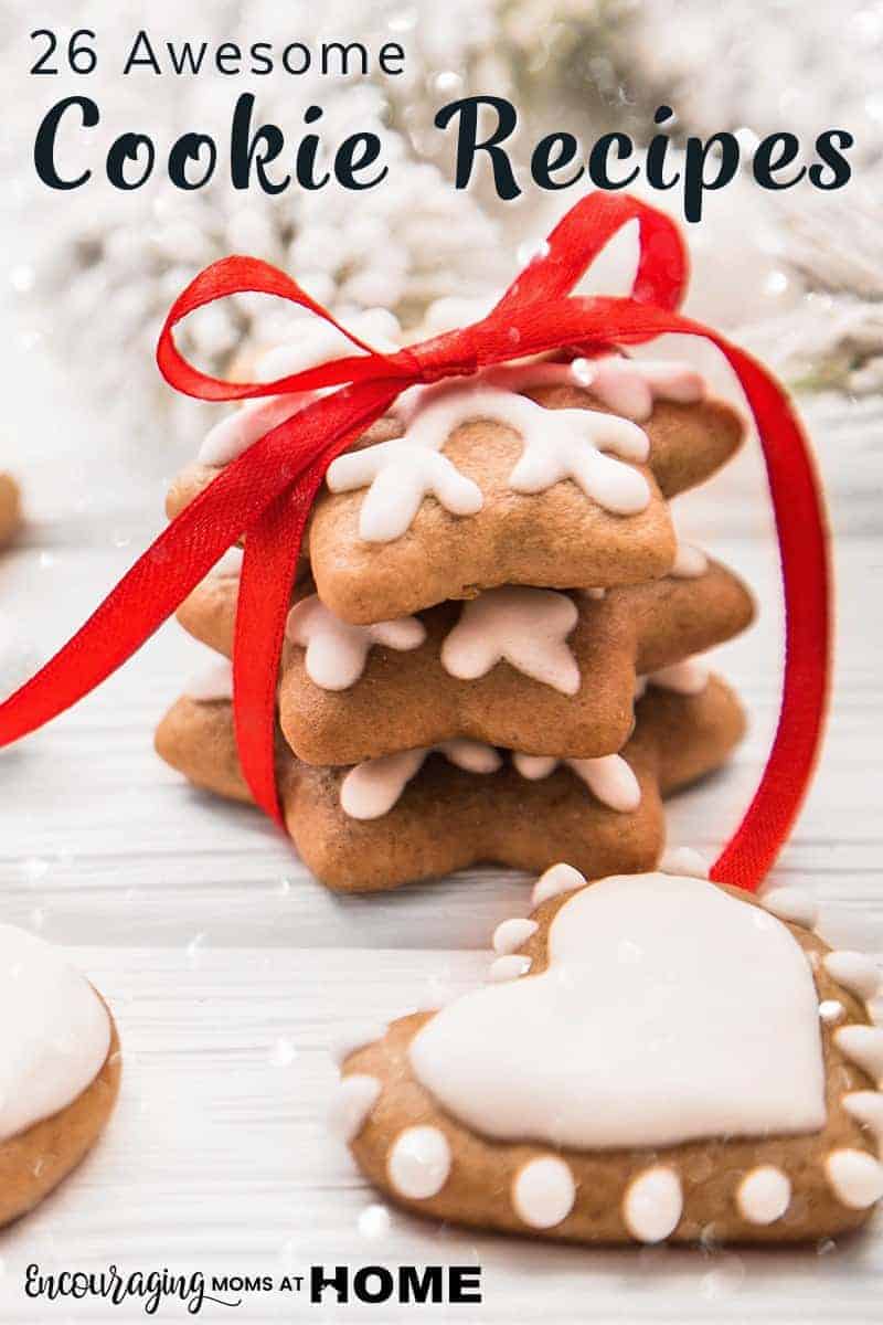 Are homemade cookies a favorite with your family?  Whether it's National Cookie Day or any other day of the year, take a look at these hand-picked cookie recipes for families.