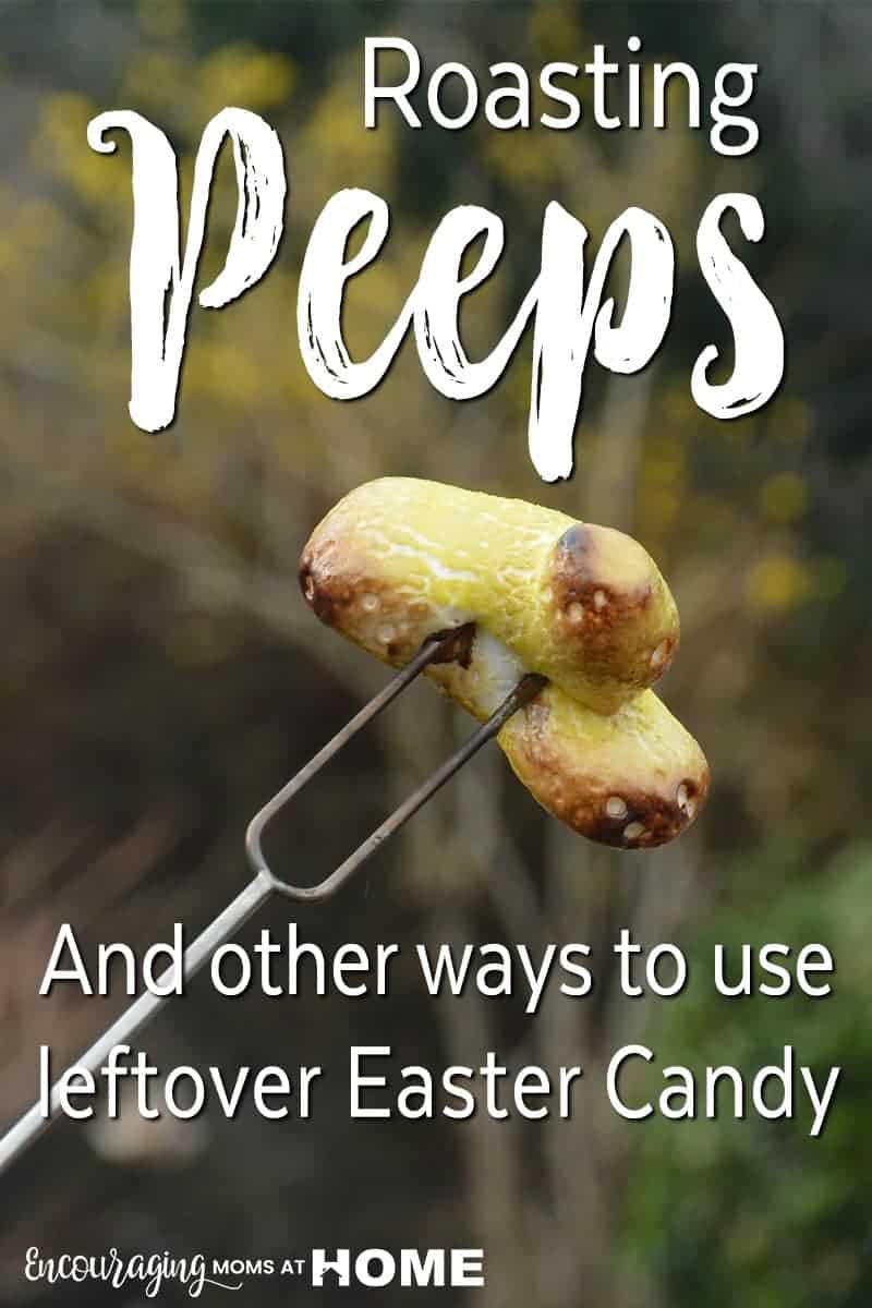 Have Peeps leftover from Easter? Try roasting them. This is an easy, fun and delicious activity for those cool summer nights around the fire. We also give a few ideas and recipes for what to do with all the leftover Easter candy.