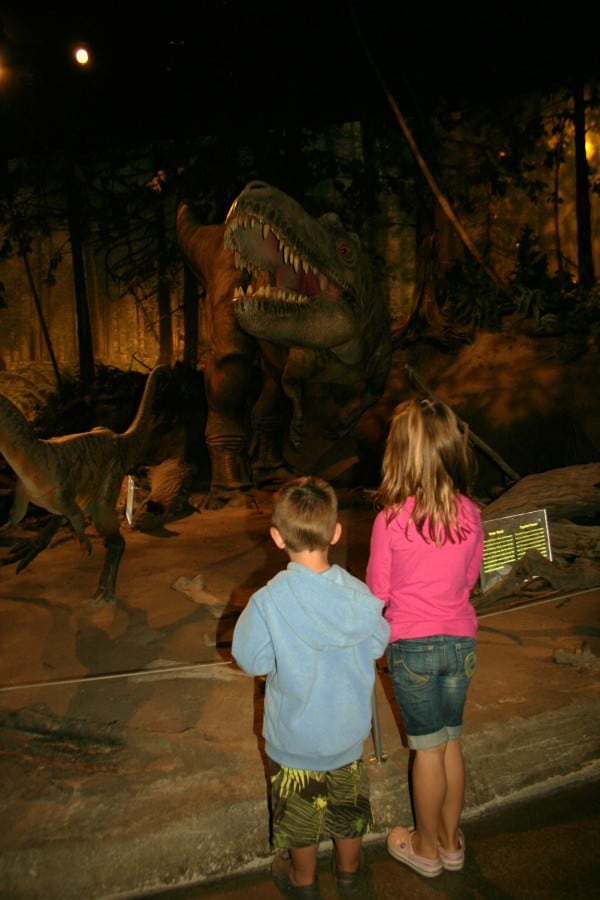 drumheller museum, dinosaur museum, drumheller alberta, drumheller, royal tyrrell museum, royal tyrrell, drumheller with a toddler, drumheller with toddler, drumheller with kids