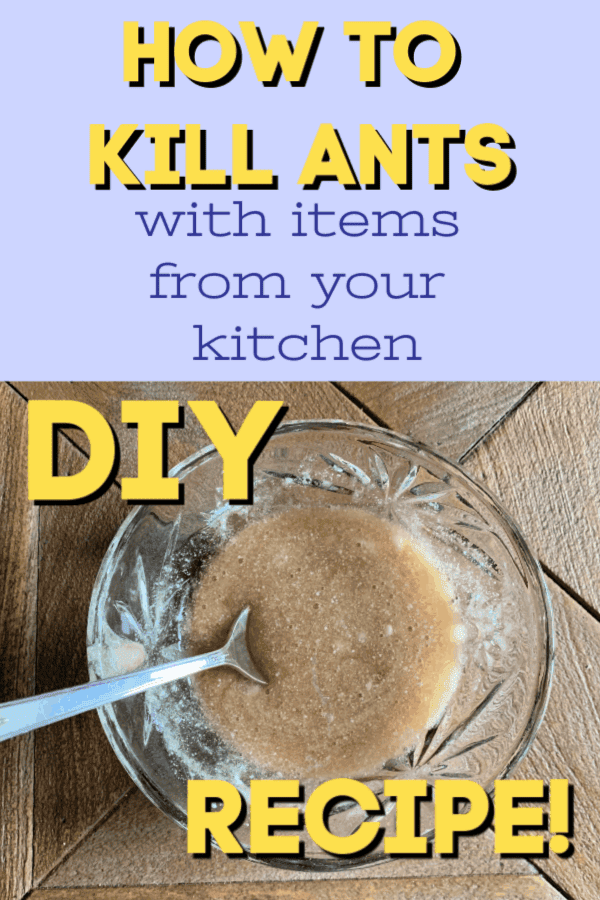 how to kill ants with borax