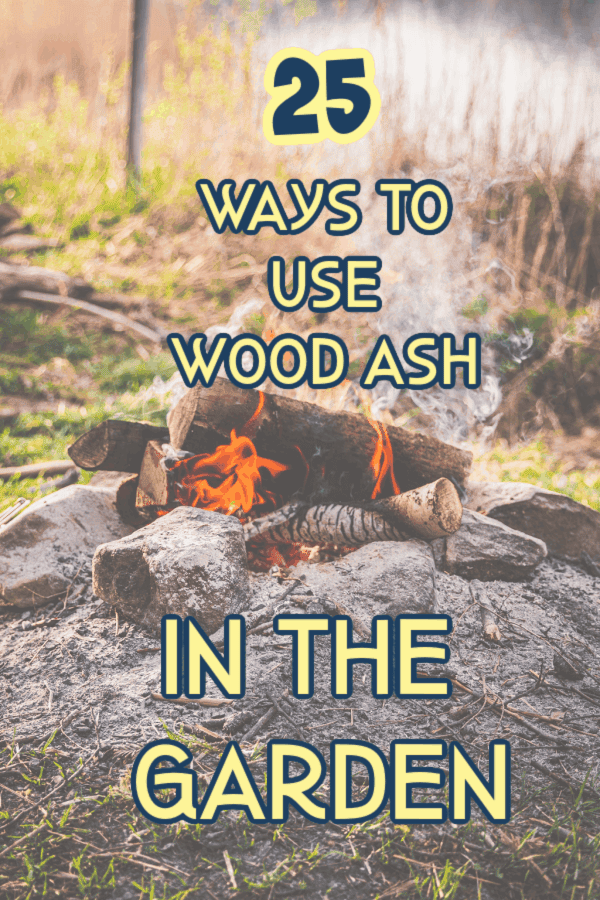 ways to use wood ash in the garden graphic