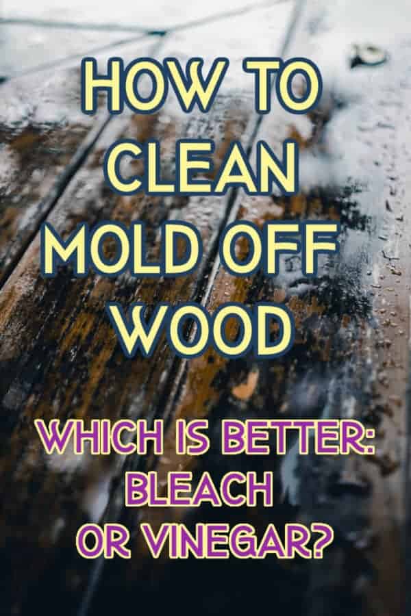 how to clean mold off wood with bleach or vinegar graphic