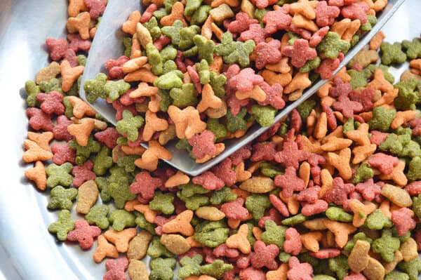 Colorful, bone-shaped dry pet food in red, green, and orange spilling from a metal scoop into a shiny bowl B-style.