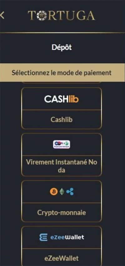 Découvrez les Grands Jeux et les Meilleurs Bonus de Tortuga Casino en Ligne - aperçu