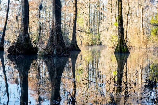 Greenfield Lake, Wilmington NC