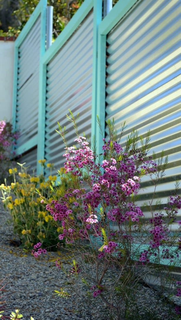 horizontal corrugated metal fence with pastel turquoise trim