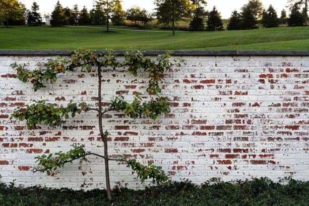 german smear brick wall with textured and distressed look