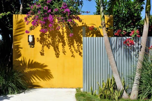 combination of corrugated metal and yellow wall fence