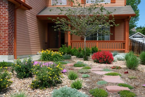 combination of mulch and rock as a ground cover in a grassless front yard