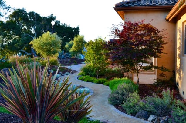 large mediterranean landscaping in a grassless front yard with curved paver front walk