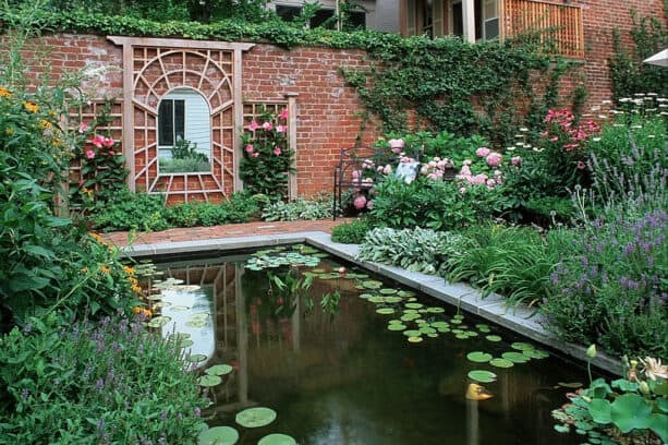 creating a pond in a small townhouse backyard