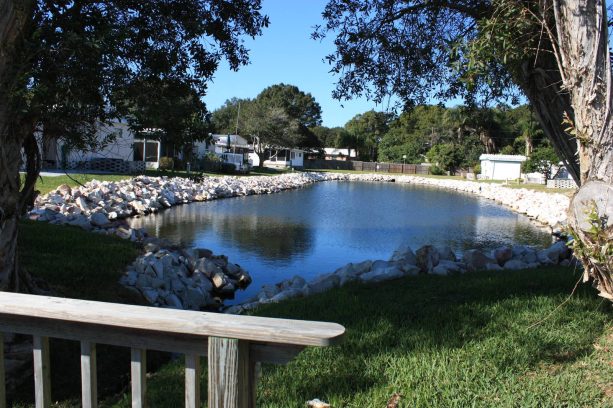 a beach-style backyard deserves to at least get a rip rap retaining wall