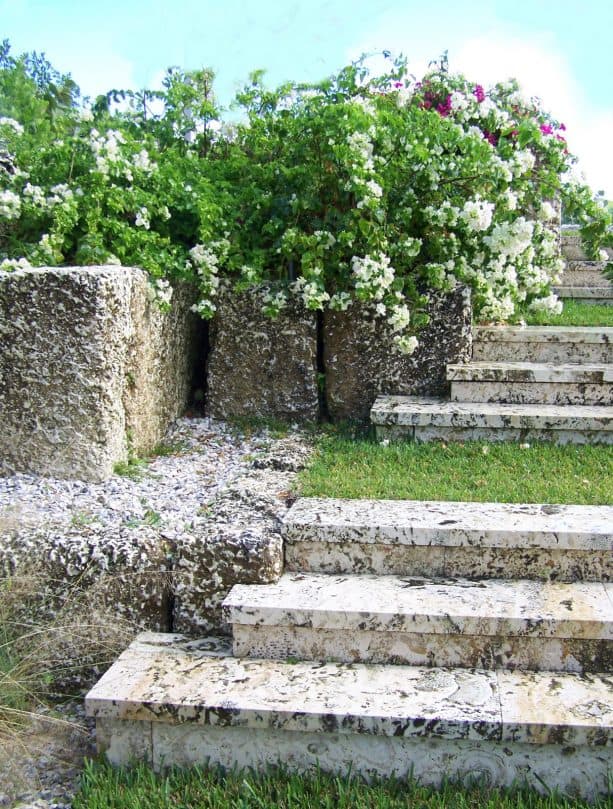 ideas for tropical hillside slope with stone steps landscape