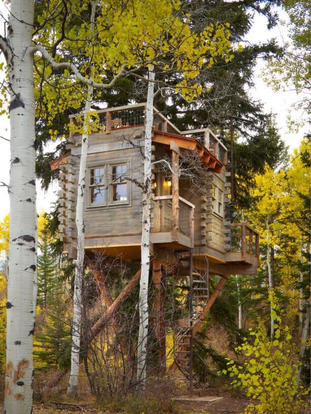 rustic window trims make a brilliant addition to a treehouse