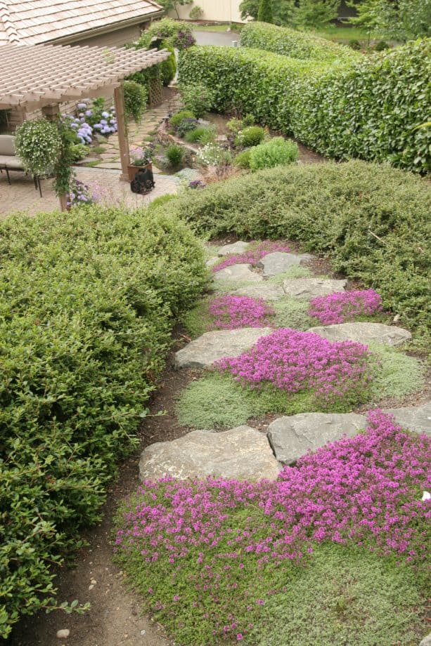 contemporary landscape with rock steps on a steep slope