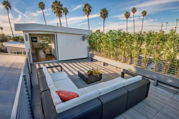 living bamboo plants for deck railing screen